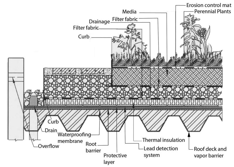 Cross section of extensive vegetated roof.