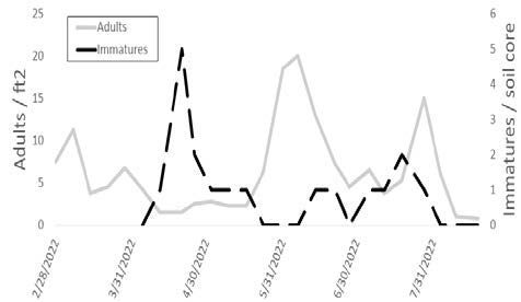 a graph showing that Immature populations peaked in late-April and adult populations peaked about six weeks later in early June.